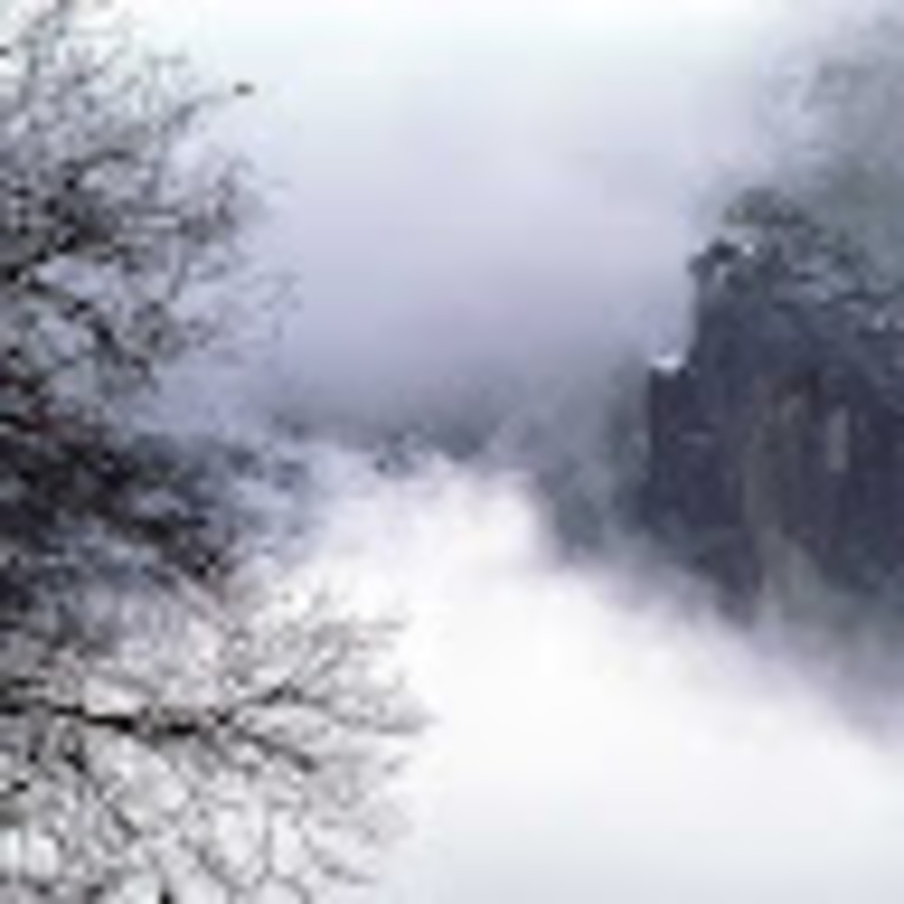 Meet your Posher, Eliza